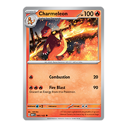 Pokemon TCG, Super-Premium Collection Box - Charizard ex